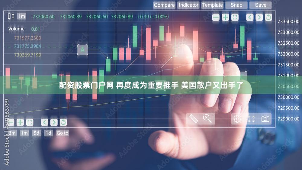 配资股票门户网 再度成为重要推手 美国散户又出手了