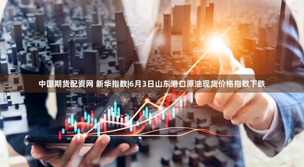 中国期货配资网 新华指数|6月3日山东港口原油现货价格指数下跌