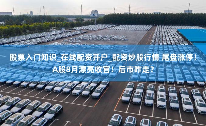 股票入门知识_在线配资开户_配资炒股行情 尾盘涨停！A股8月漂亮收官！后市咋走？