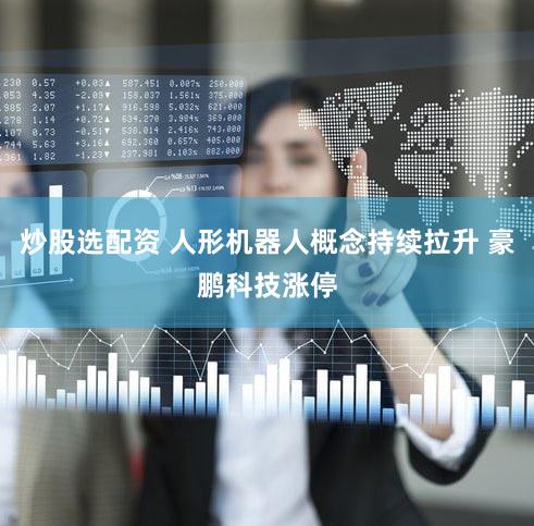 炒股选配资 人形机器人概念持续拉升 豪鹏科技涨停